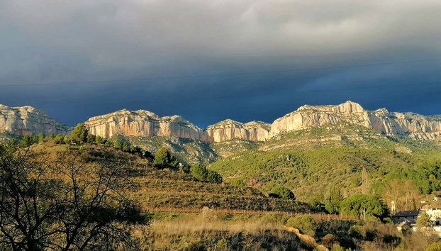 La Conreria Winery Tour - Foto 4