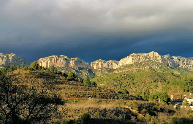 Visita a la bodega La Conreria - Foto 4