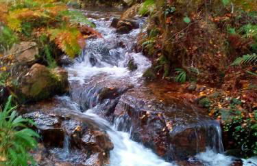 Casa o Furco - Foto 38