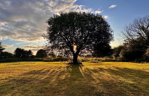 Torridge House Cottages - Foto 35
