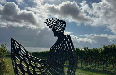 Pfälzer Traumblick - Foto 11