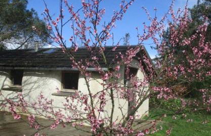 maisonnette écologique isolée en botte de paille - Foto 10