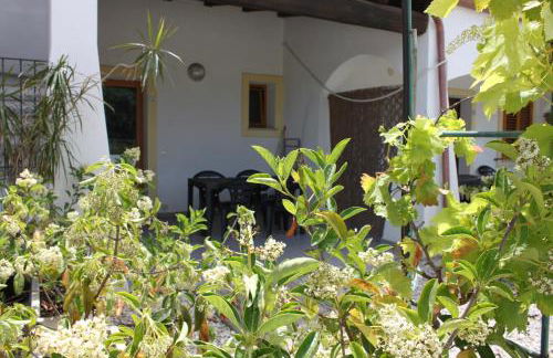 Binja Fortuna - Foto 24