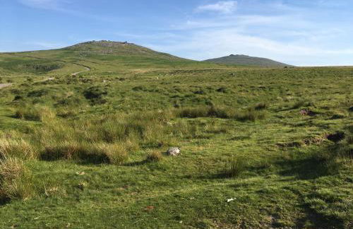 Meadow Sweet Cottage - Photo 61