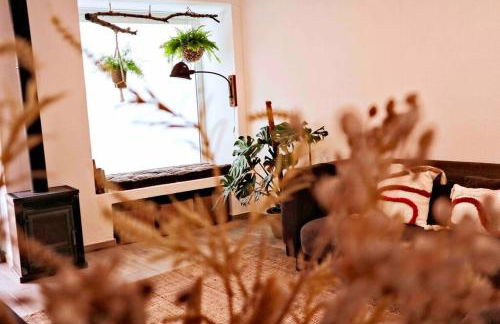 Sopas e Descanso - Foto 9