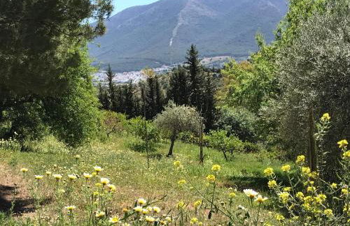 Studio Views Apartment, Cortijo Fruitful Hills - Photo 13