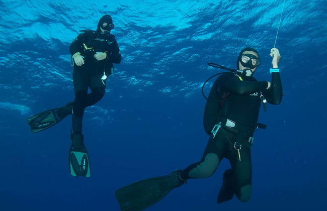 Scuba Diving in Unawatuna - Foto 2