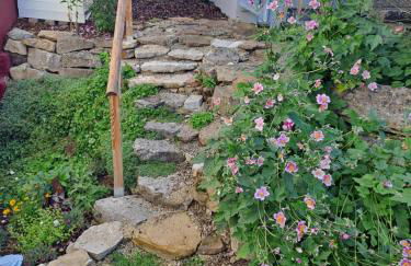 Schwarzwaldmarie - Foto 24