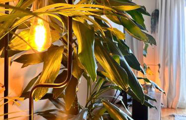 2 bed, 2 bath apartment in Roundhay - Foto 30