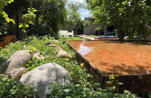 El Secanet - Foto 22