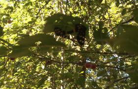 Villa Laura - Photo 10