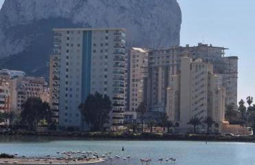 casito rico - Photo 33