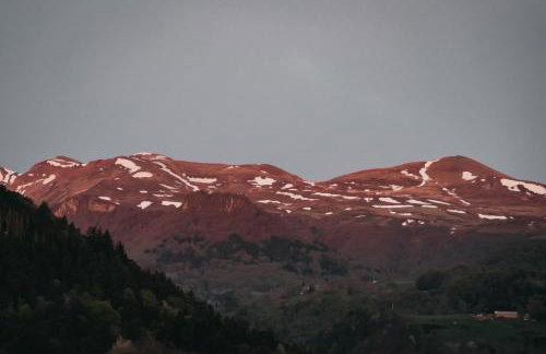 Les Terrasses du Grillon - Photo 60