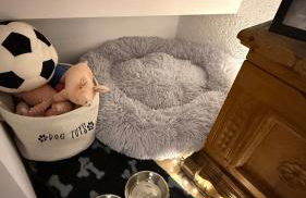 Family-friendly oasis with sauna & terrace - Foto 19