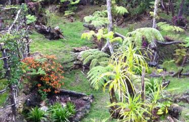 Ixchel Hawaii Volcano - Foto 17