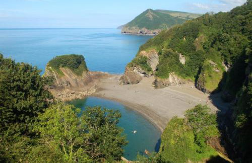 Daisy Cottage near Broadsands beach - Foto 21