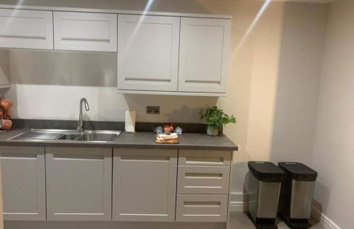 Central Belfast Apartments: Alfred Street - Foto 60