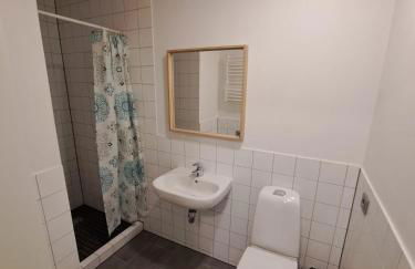 Monteurzimmer - Ferien Wohnungen Leipzig - Sandersdorf-Brehna - Foto 11