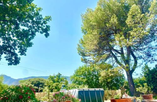 La maison aux oiseaux - Luberon - Foto 60