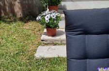 Villa Βianca in Sithonia - Foto 49