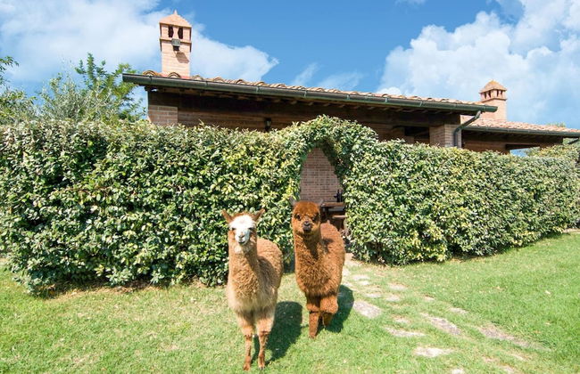 Holiday Home in Castiglione del With Pool - Foto 68