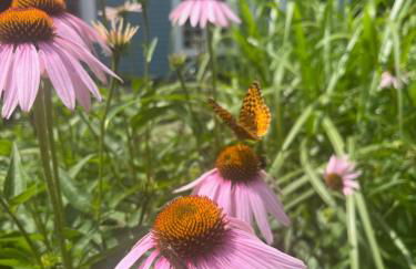 The Tannery House - Foto 35