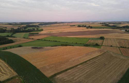 Domki w Winnicy - Świętokrzyska Winnica Knapów - Foto 23