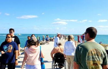 Island-Life! A - Foto 5