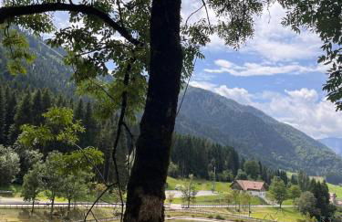 La casa del Cucù al Ravascletto, 900mt from cable car - Foto 21