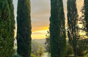 Villa Amici Apartment - Photo 29