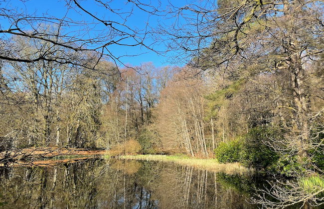 Cosy Woodland off Grid Shepherds Hut - Rowan - Foto 19