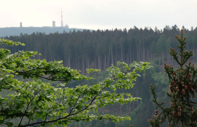 Cozy Apartment in Braunlage near Forest - Foto 38