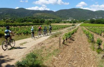 Maison dans les vignes - Foto 31