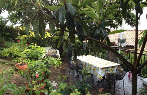 Appartamenti Serena - Nonna Agnese - Foto 9