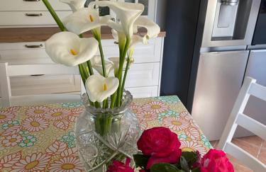 Midori-an 緑庵 - The Garden - Foto 56