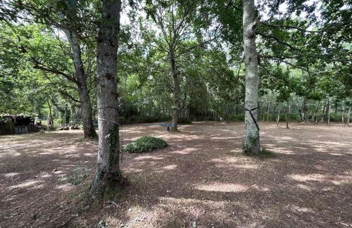 Chalet en bois sur grand parc arboré tout proche de l océan - Foto 41