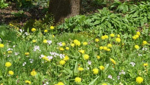 Moni's holiday home - Foto 5, Other