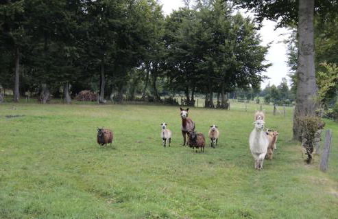 Ferienwohnung Margot - Photo 20