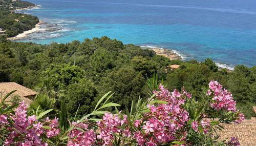 Villa with pool, sea view, Ste Lucie de Porto-Vecchio - Foto 3, Garden