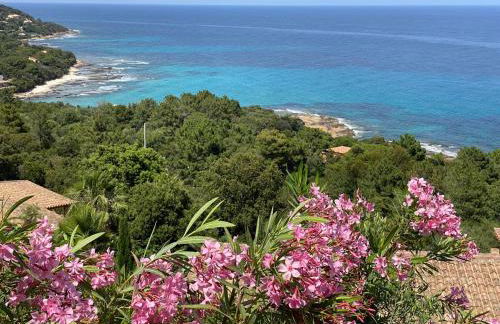 Villa with pool, sea view, Ste Lucie de Porto-Vecchio - Foto 3