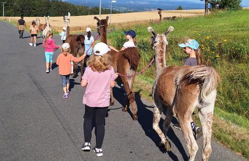 Birkholmhof - Foto 9