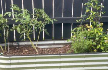 Park Ave Laurel Cove, Bell Theatre, ARH, Corbin Arena, & LMU - Foto 47