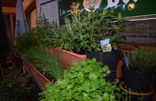 Marktstübchen an der schönen Loreley - Photo 22