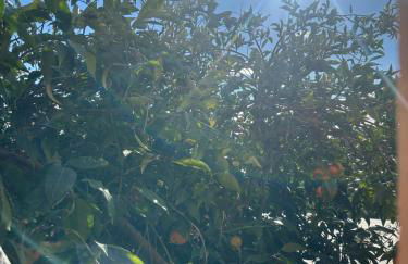 Casa Mary Bela's - Foto 25