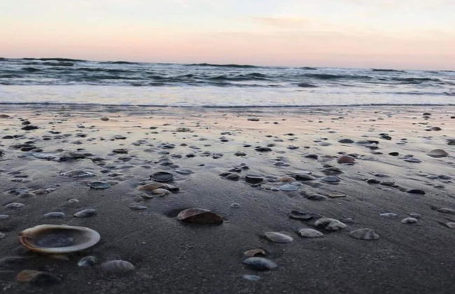 Holiday Home Monte Colombo Wine & Culture - Foto 31