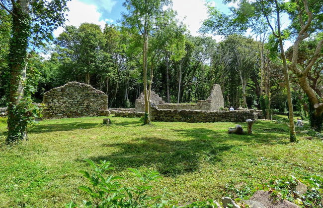 Ballyquirke House - Foto 16