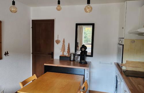 Apt confortable au pied des pistes et de la forêt - Foto 11