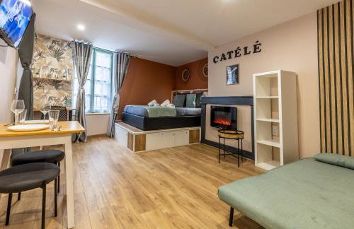 LE CATELE - Studio RIOM - 3 pers - Vulcania - Puy de Dôme - Proche Clermont Ferrand - Foto 8