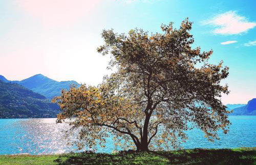 Belvedere in Costa - Lake View - Photo 42