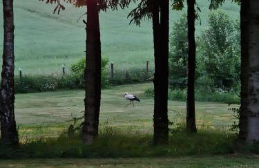 Domek nad Stawem - Foto 25